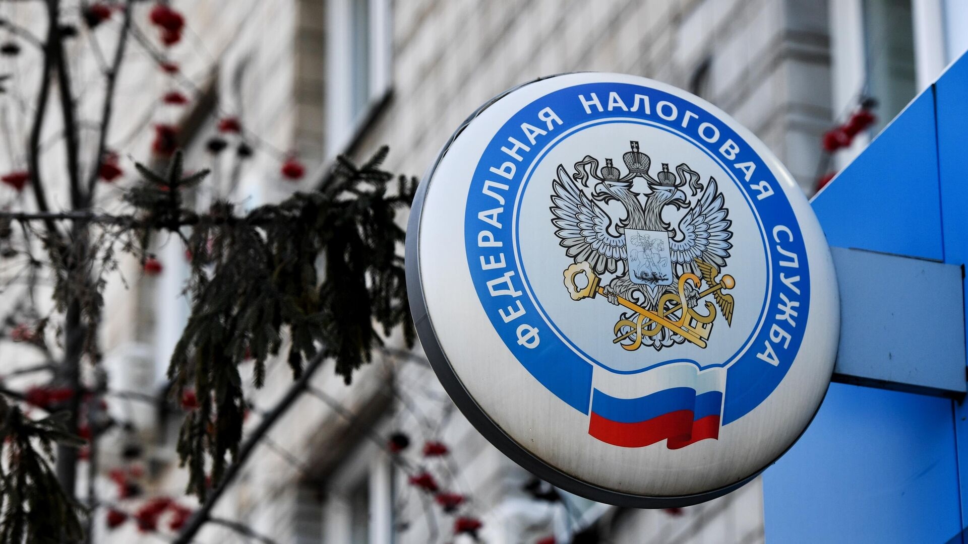 Фото: РИА «Новости»